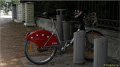 lyon110624_029