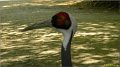 sauvage110417_003