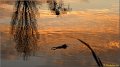 viry111224_016