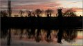 viry111224_022