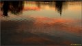 viry111224_023