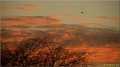 viry111224_024