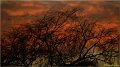 viry111224_025