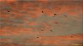 viry111224_027