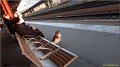 angers120204_117