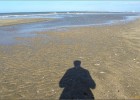 deauville131026 039
