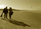 deauville131026 046