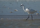 deauville131026 051