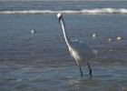 deauville131026 052