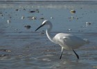 deauville131026 053