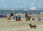 deauville131026 073