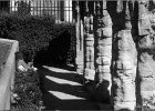 avignon140913 026  Square Agricol Perdiguier