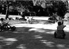 avignon140913 248