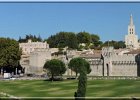 avignon140913 296