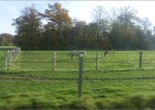 boissy141122 033  Dans le car Transilien