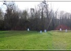 boissy141122 042  (Pascale Marthyne Tayou)