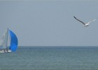 malolesbains140607 066