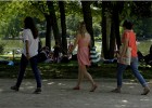 zoodevincennes140518 142