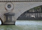 batobus150911 109  Pont Louis-Philippe