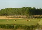 mulhouse150701 255  Dans le train