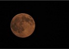 mulhouse150701 300
