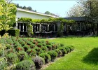 giverny170419 004d