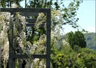 giverny170419 038