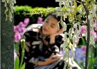 giverny170419 041