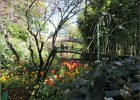 giverny170419 053