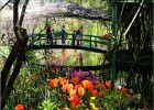 giverny170419 054