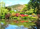 giverny170419 062b