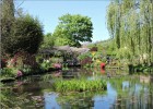 giverny170419 063
