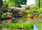 giverny170419 064