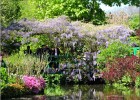 giverny170419 065