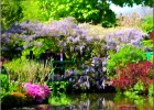 giverny170419 066
