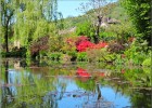 giverny170419 070