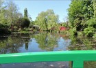 giverny170419 071