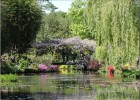 giverny170419 072