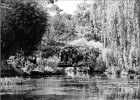 giverny170419 073