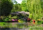 giverny170419 076
