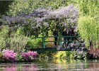 giverny170419 078
