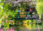 giverny170419 083