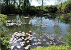 giverny170419 087