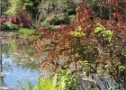 giverny170419 088