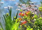 giverny170419 089b
