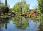giverny170419 101