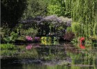 giverny170419 102