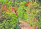 giverny170419 106