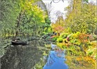 giverny170419 110