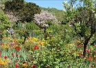 giverny170419 117